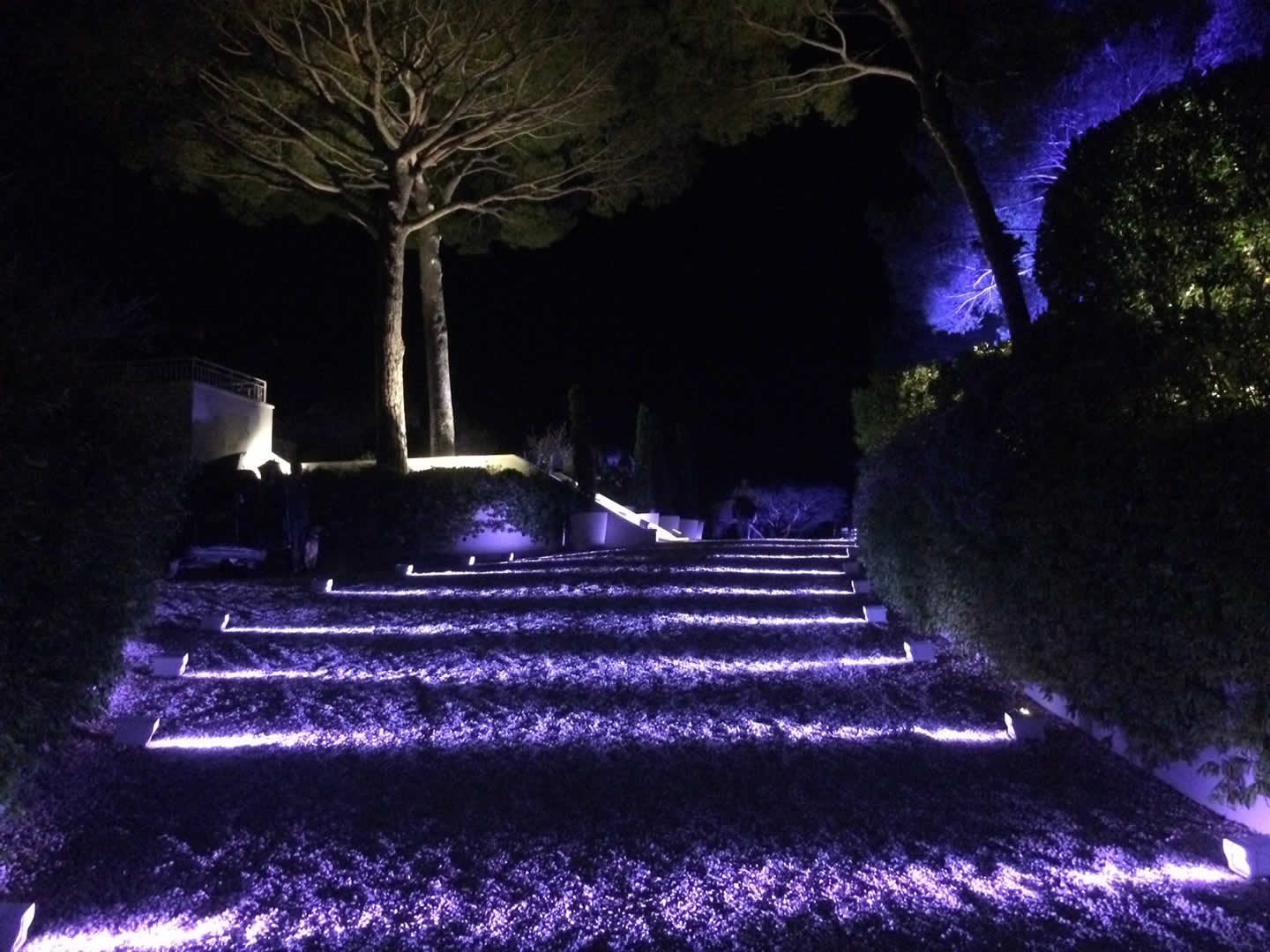 Soirée privée à St Tropez avec l'agence LIFE PLUS Alternative text - Soirée privée à St Tropez avec l'agence LIFE PLUS